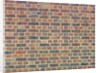Brickwall by Assaf Frank